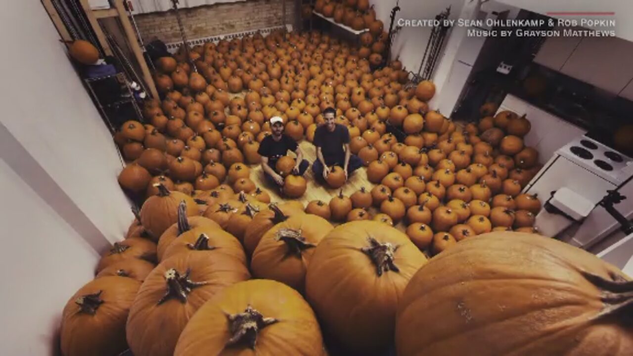 PumpkinVideoFeature102917