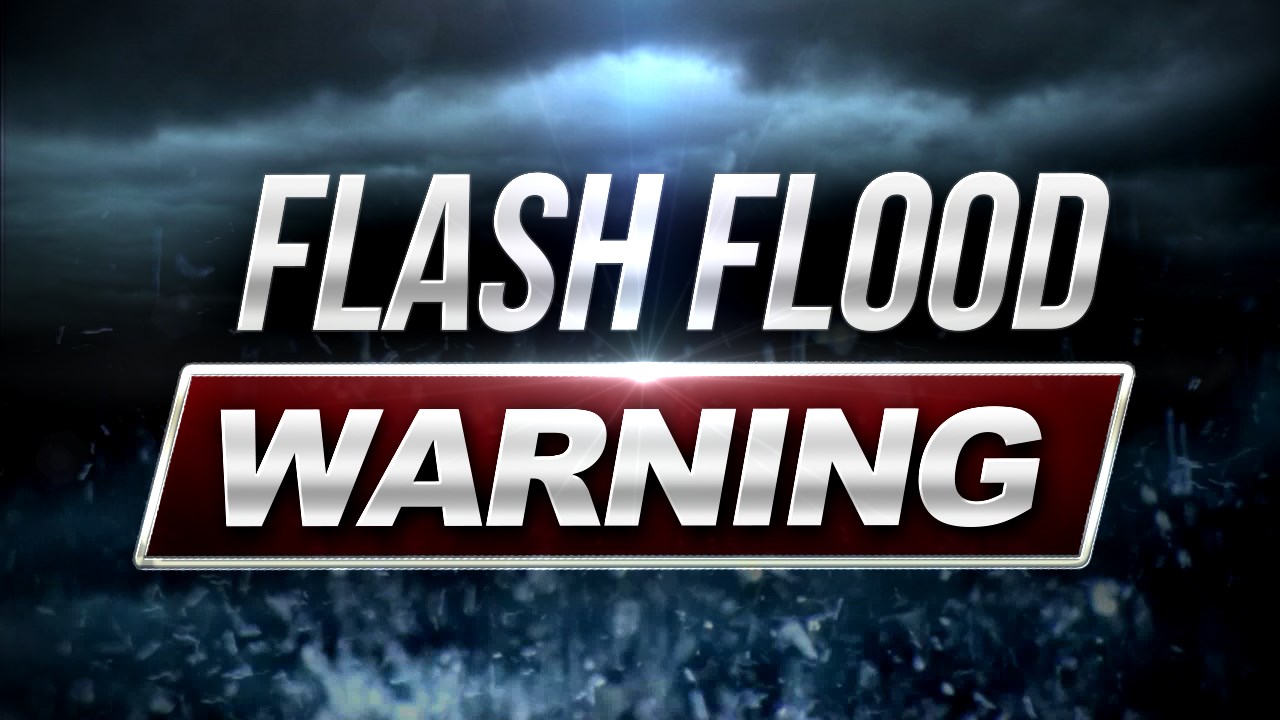 Flash Flood Warning Issued for West Central Chautauqua County