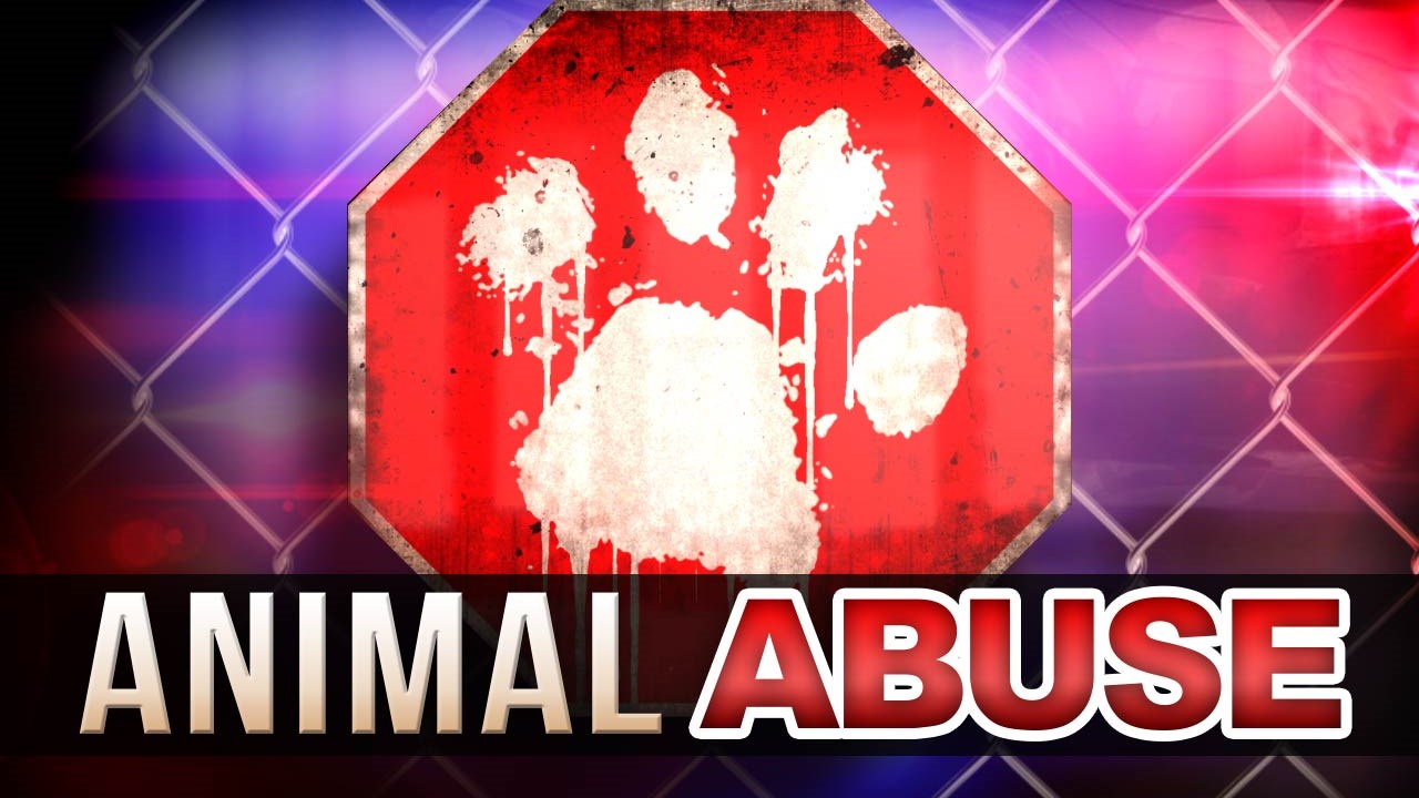 Resident Arrested for Animal Cruelty