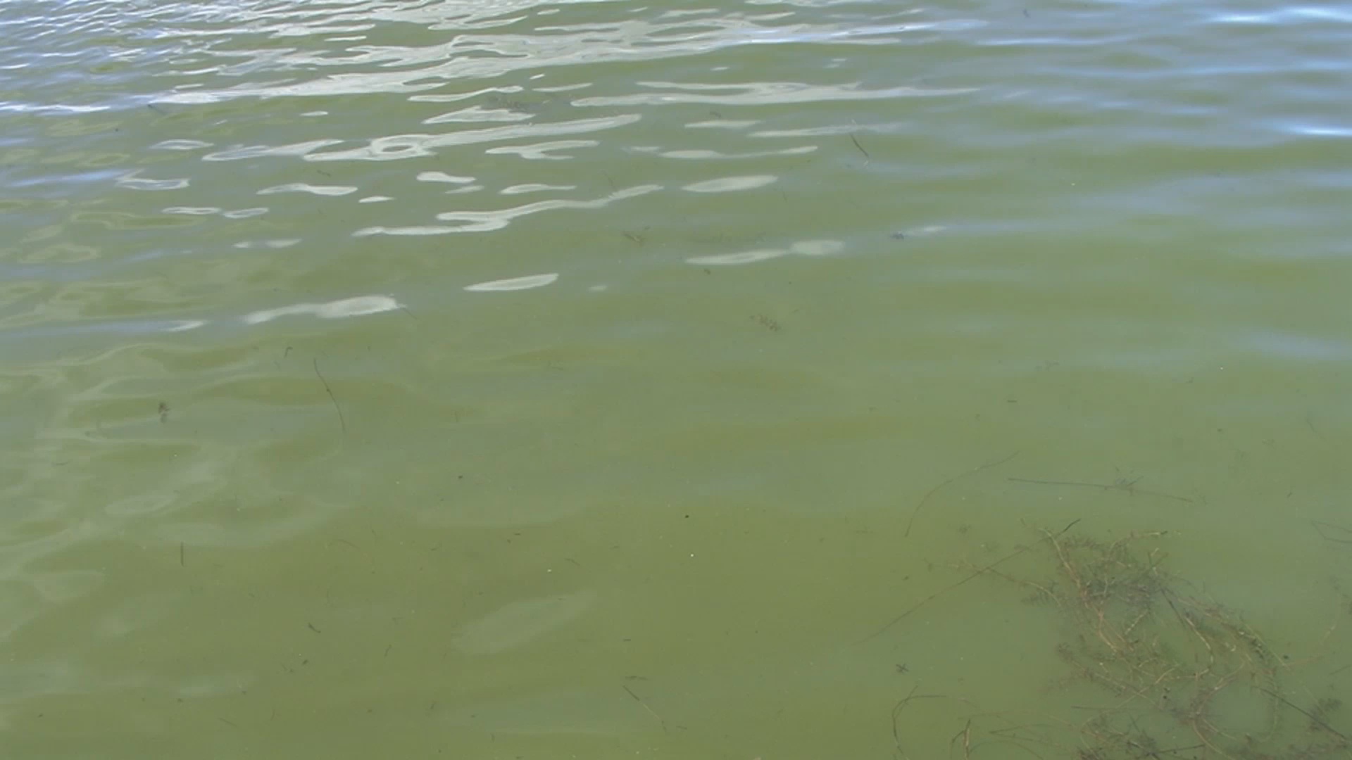 County Offers Waterway Improvement Grant