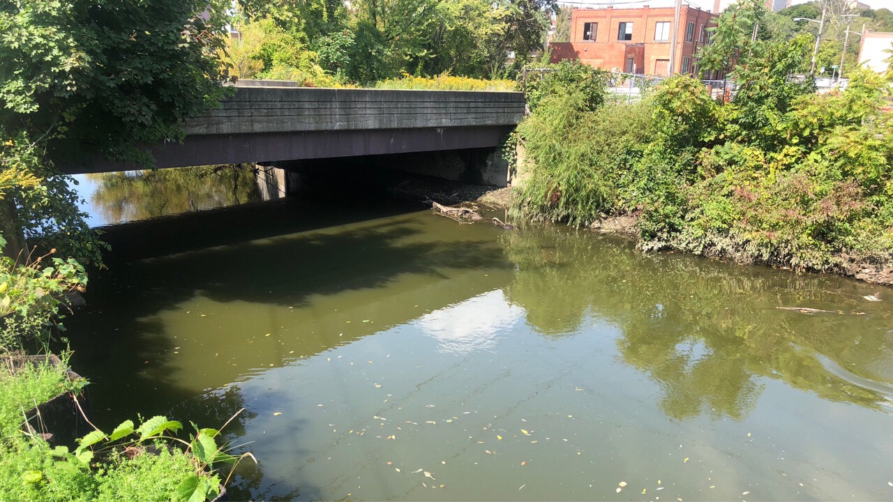 STATE DEPARTMENT OF ENVIRONMENTAL CONSERVATION AWARDS GRANT  FOR CHADAKOIN RIVER