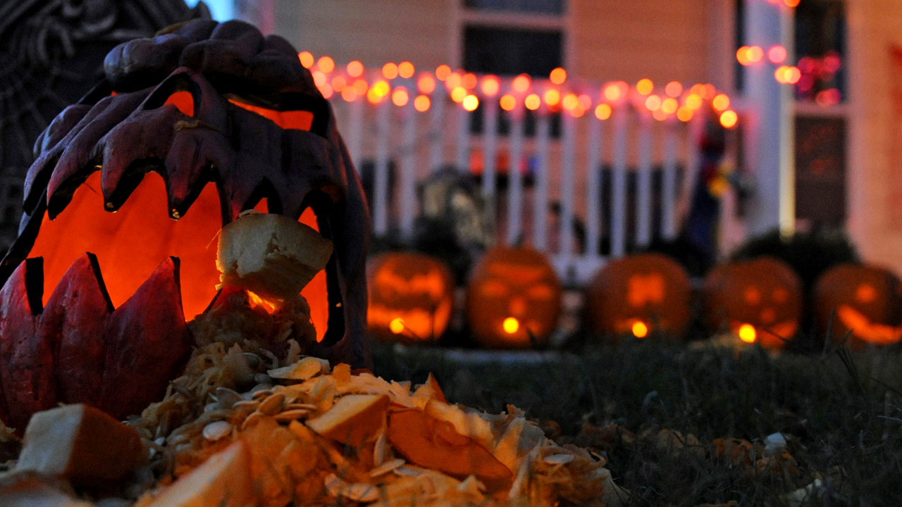 It’s National Pumpkin Seed Day