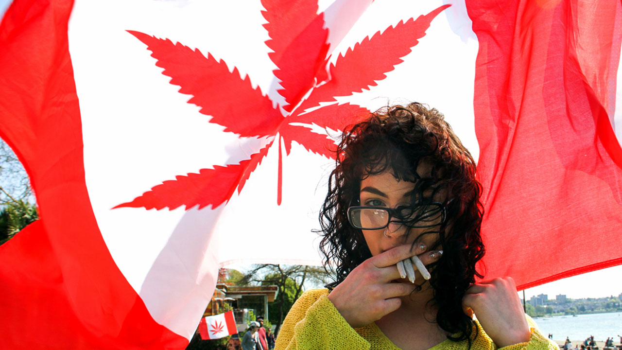 Study Found Half A Million Canadians Use Marijuana Before Work
