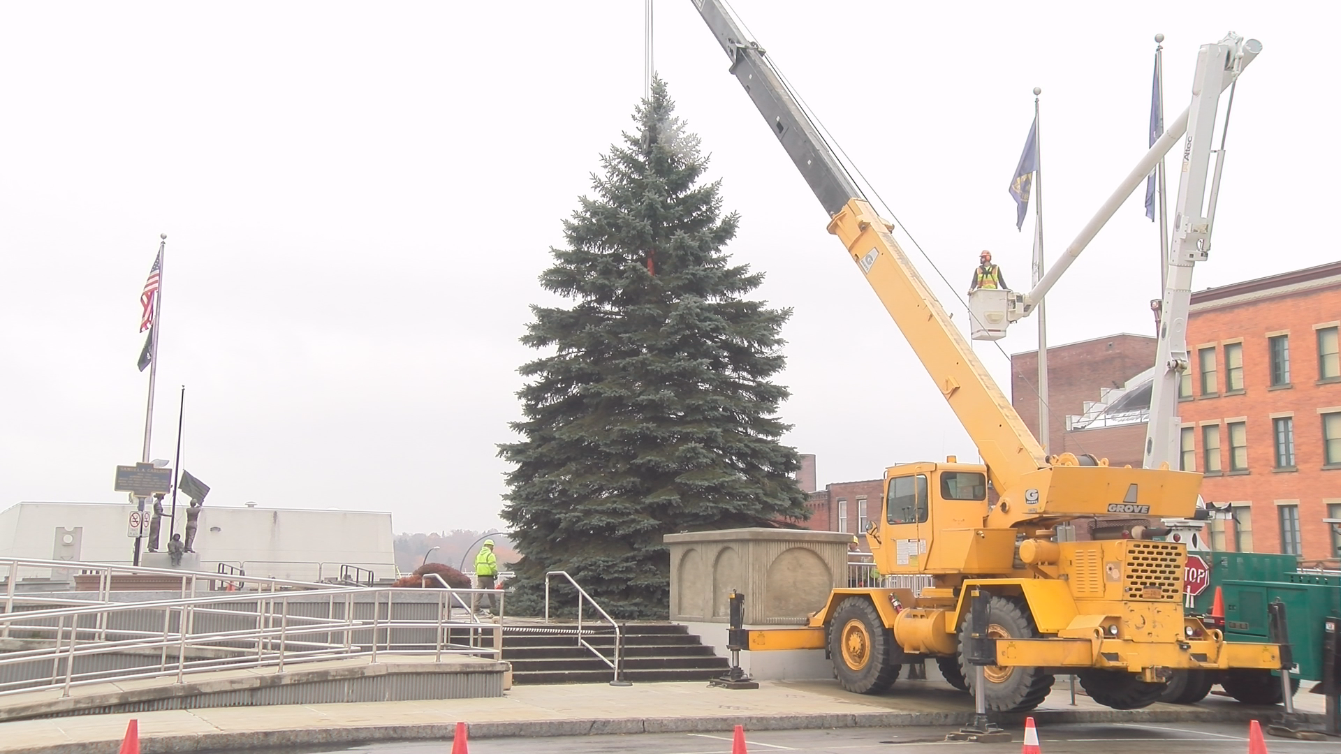 Jamestown Christmas Tree To Be Harvested, Installed Next Week
