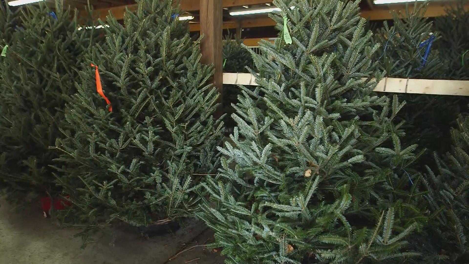 Holiday Home Safety Tips