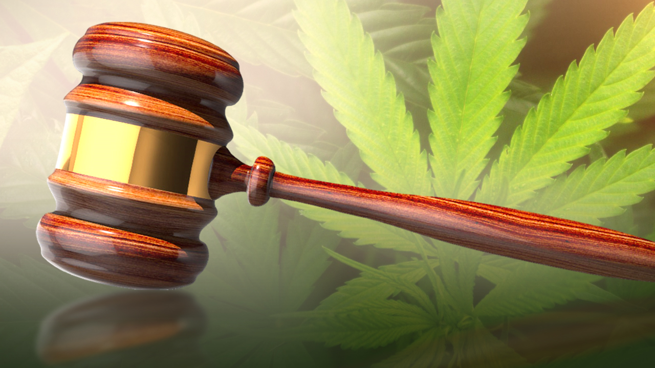 NY Takes Stand Against Illicit Cannabis