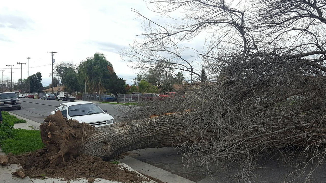 NWS Buffalo Issues Alert Until January 10