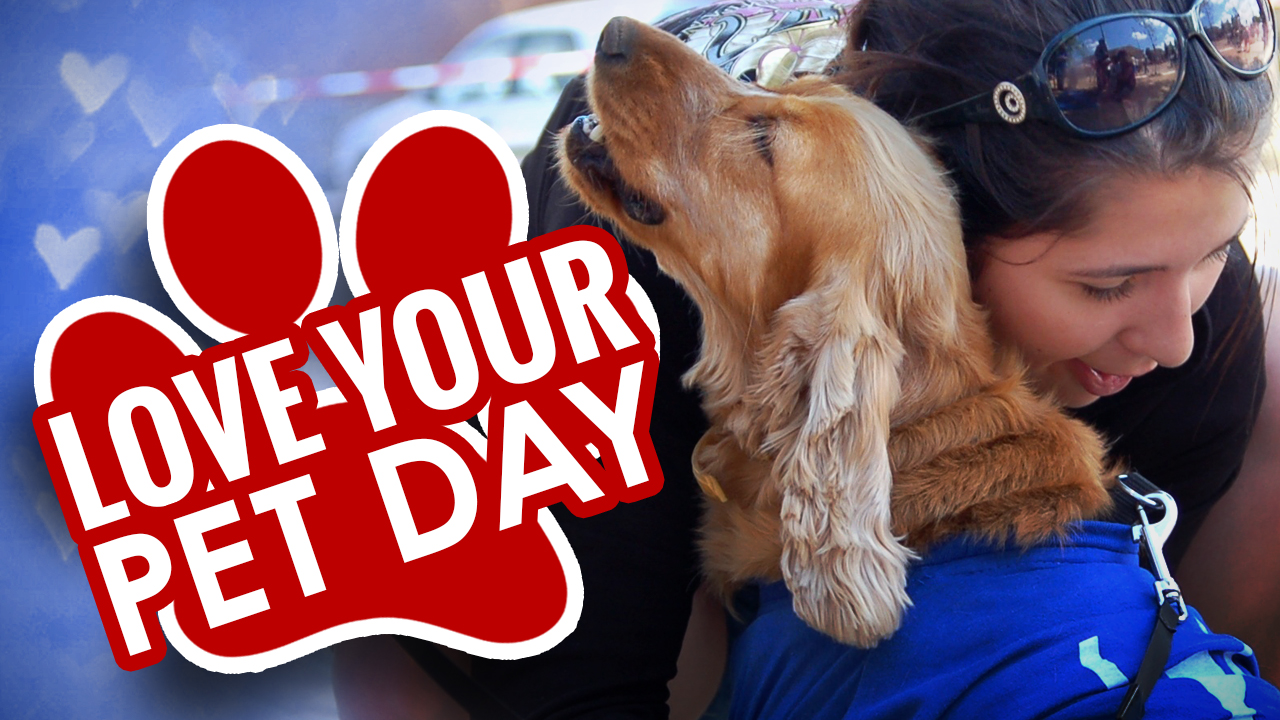 It’s National Love Your Pet Day! Share Your Photos With Us.