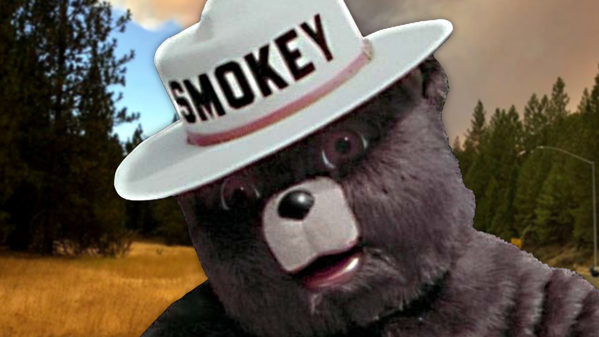 Falconer VFD Responds To Grass Fire, Burn Ban In Effect Through May 14