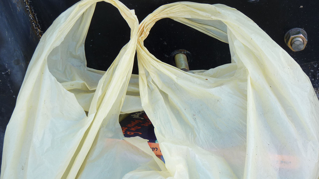 Wegmans To Provide Free Reusable Bags On Saturday