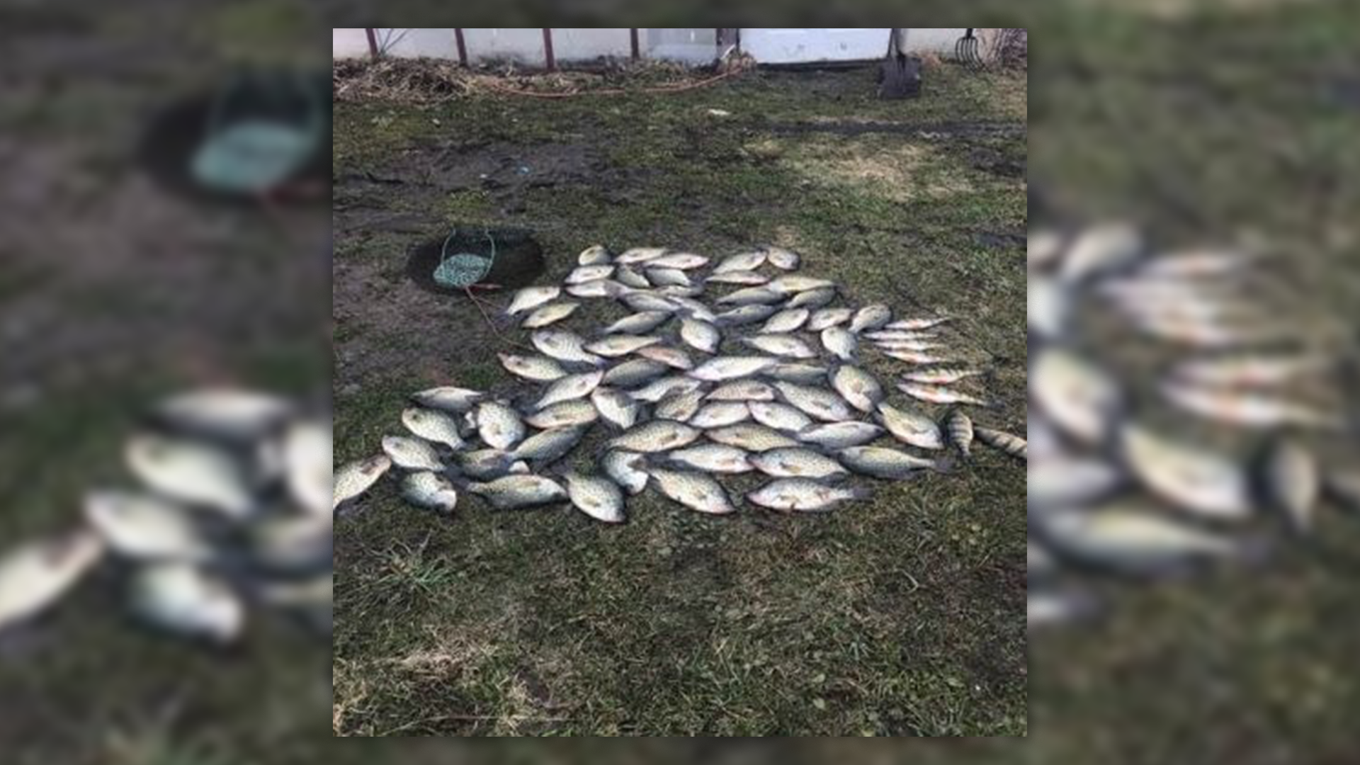 Fisherman Charged With Exceding Crappie Limit On Chautauqua Lake