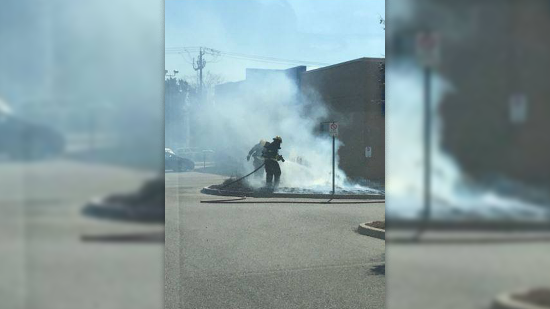 Olean Police Ask Residents To Stop Throwing Cigarette Butts Out Of Car Windows