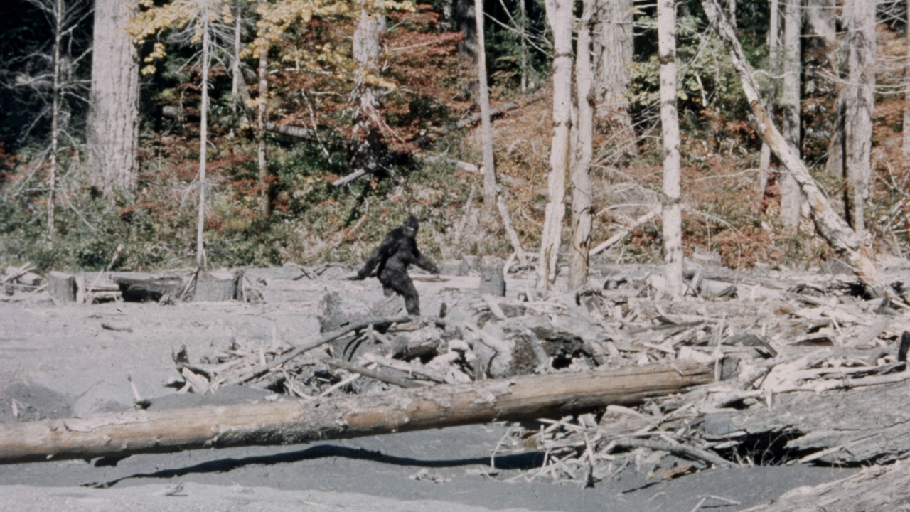 New York Ranks Fifth In Bigfoot Sightings Survey