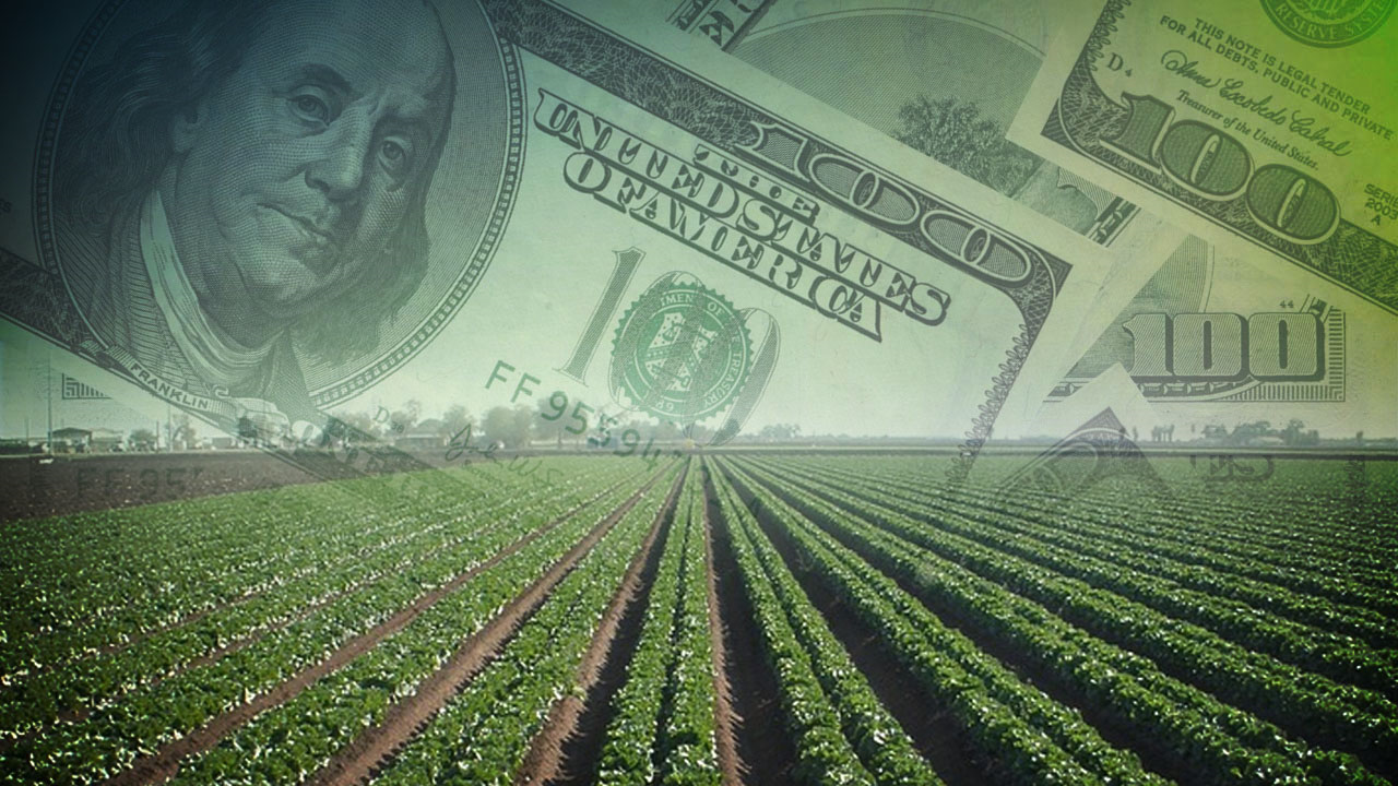 Cornell Cooperative Extension To Offer For Those Who Dream To