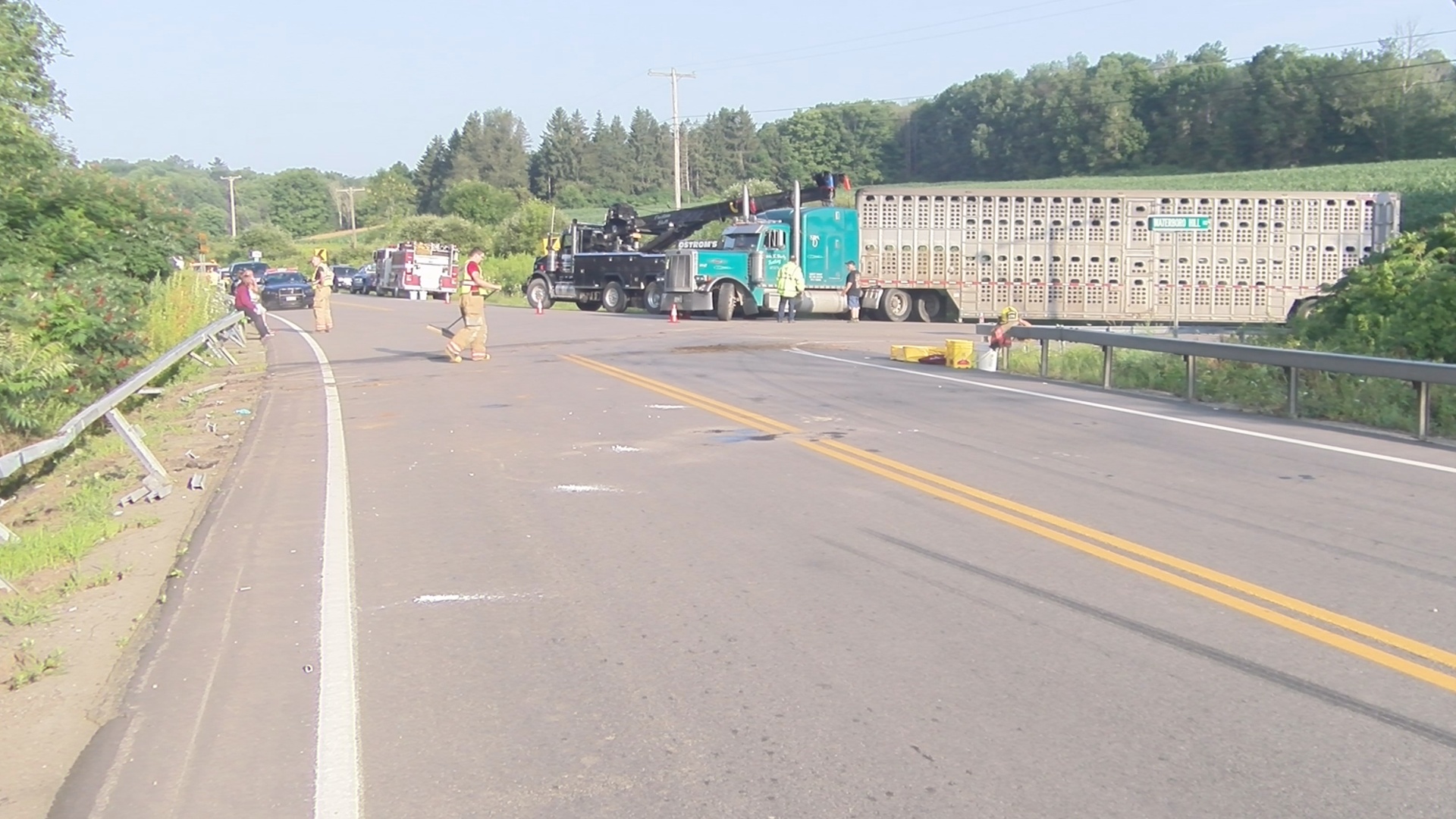 Truck Filled With Cattle Headed For Slaughter Crashes In Kennedy