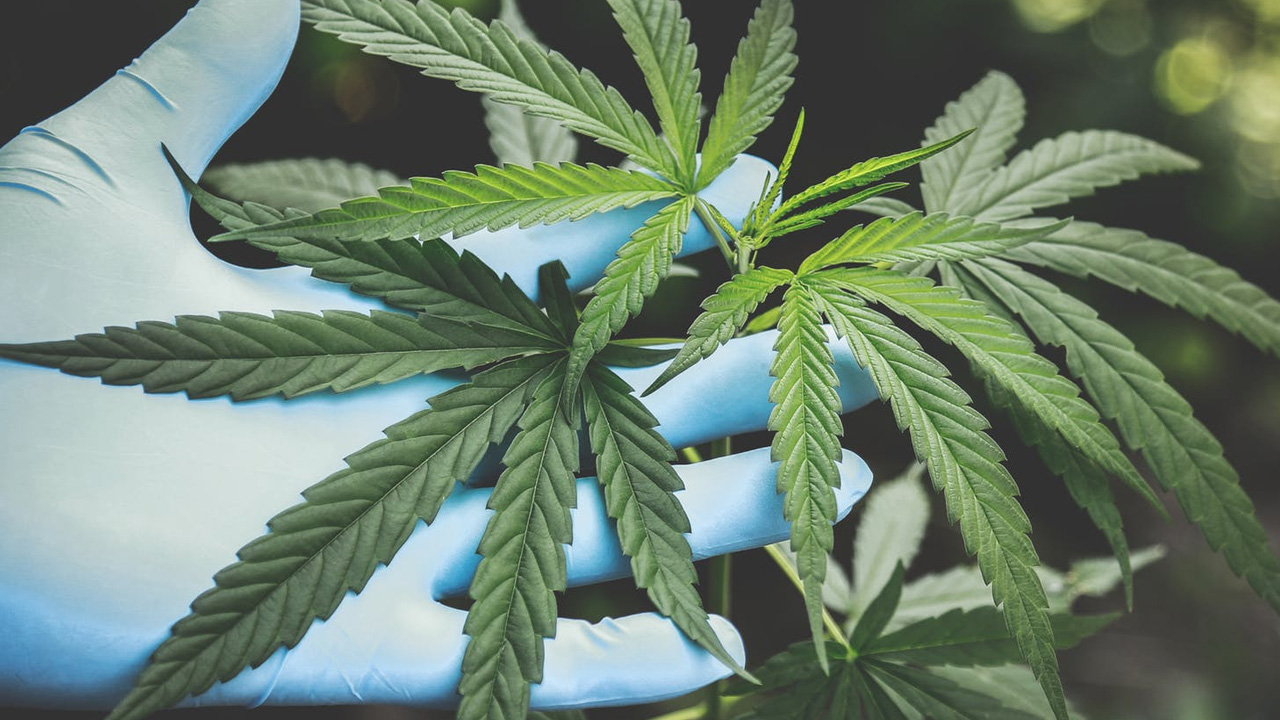 Over 500K Pot Vapes Seized In 2 Years As Busts Rise In US