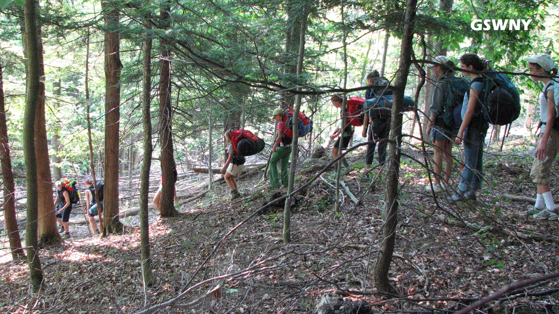 Girl Scouts Release New List Of Programs For Fall