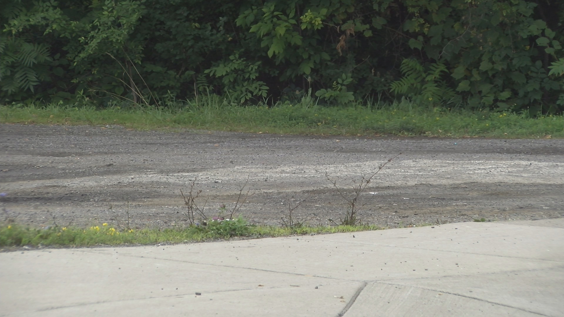 Police Release Name Of Wednesday Stabbing Victim