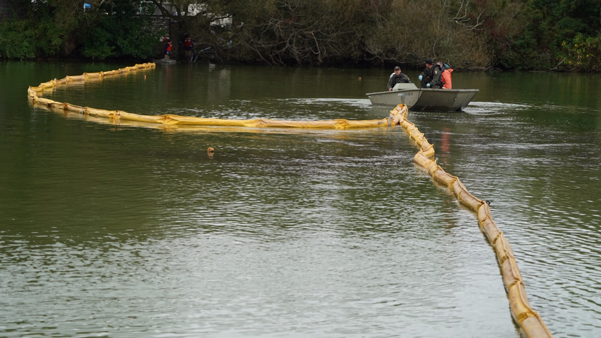 State Launches Pilot Project To Fight Harmful Algal Blooms