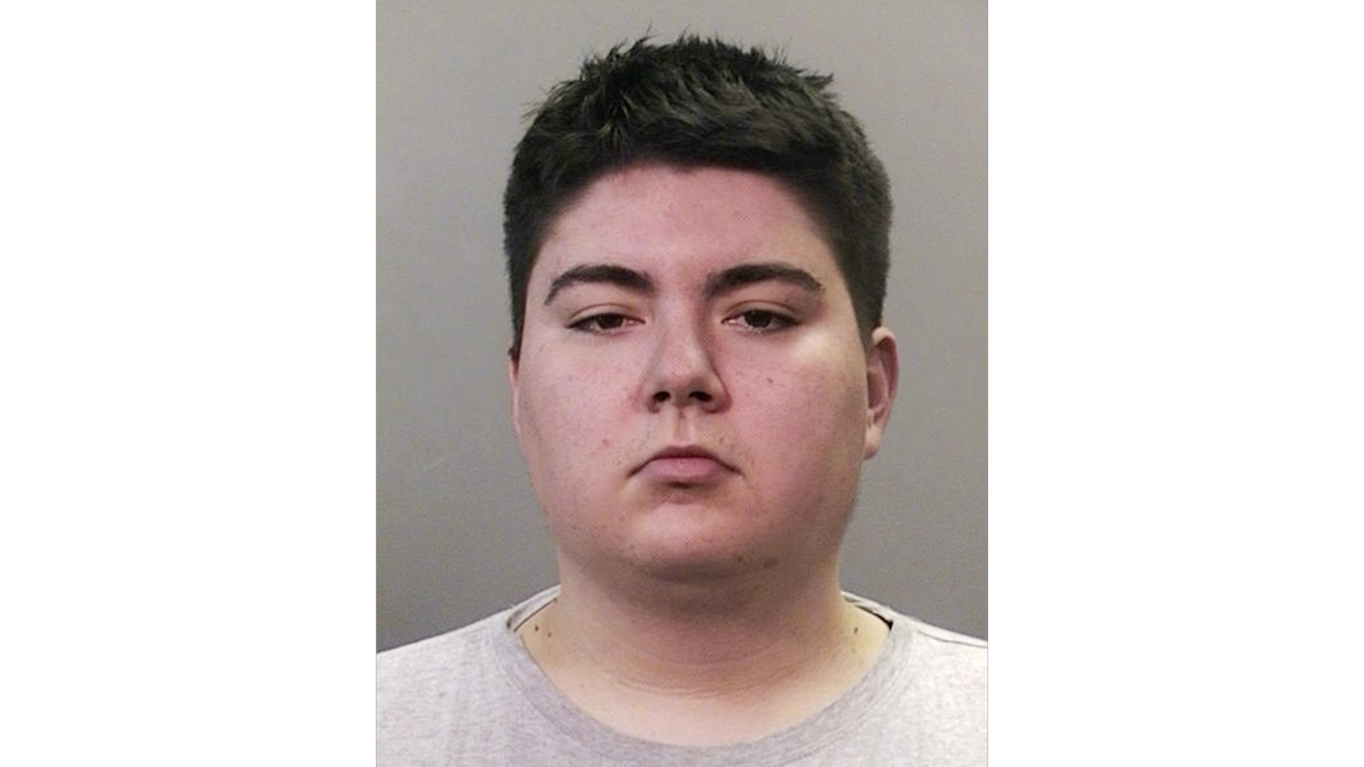 Police Say Man Beat And Bound Cats, Tossed Them Down Chute