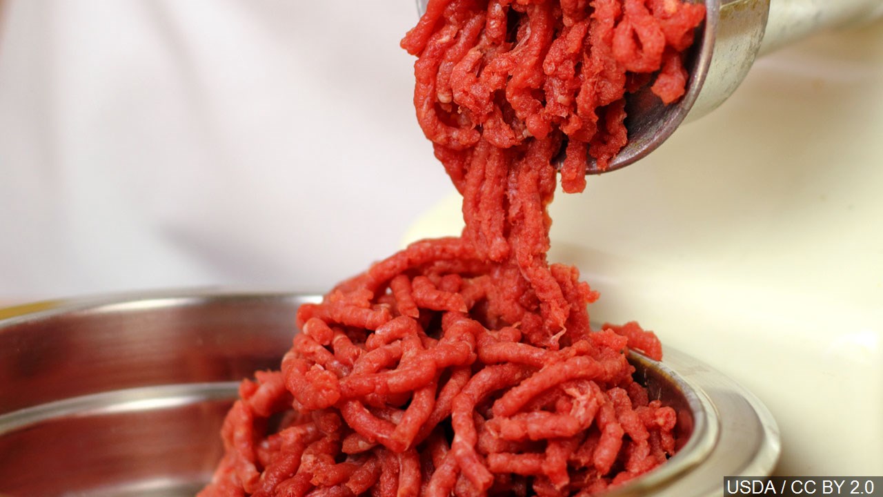 Gillibrand Pushing To Overhaul Food Safety Laws, Mandate E. coli Inspections