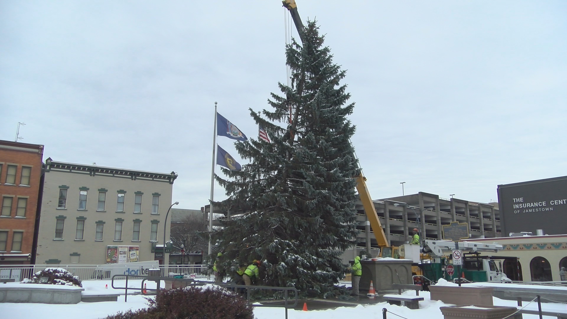 Jamestown Christmas Tree Installed