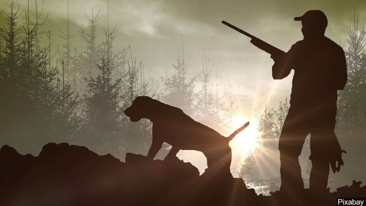 New York DEC Officials Remind Hunters Of Safety Tips Amid Season