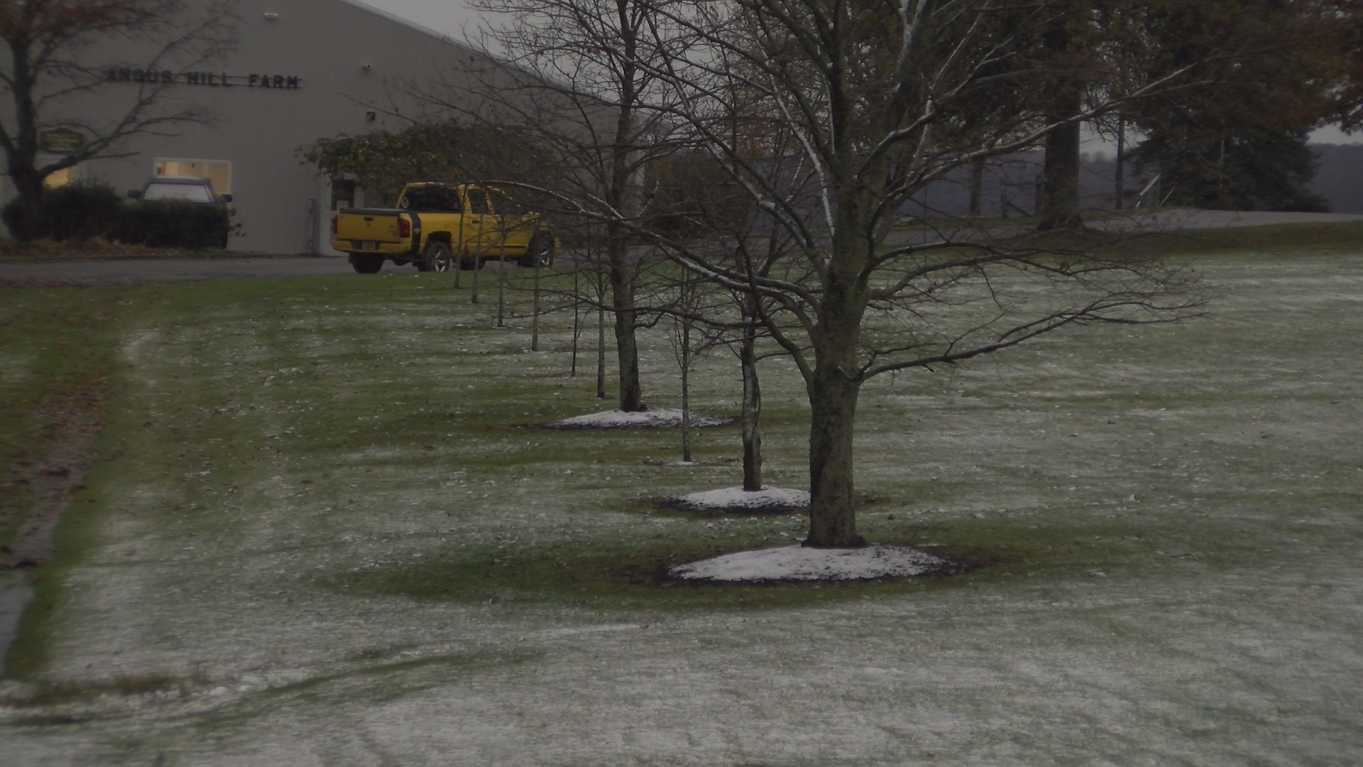 Area Sees First Snowfall Overnight