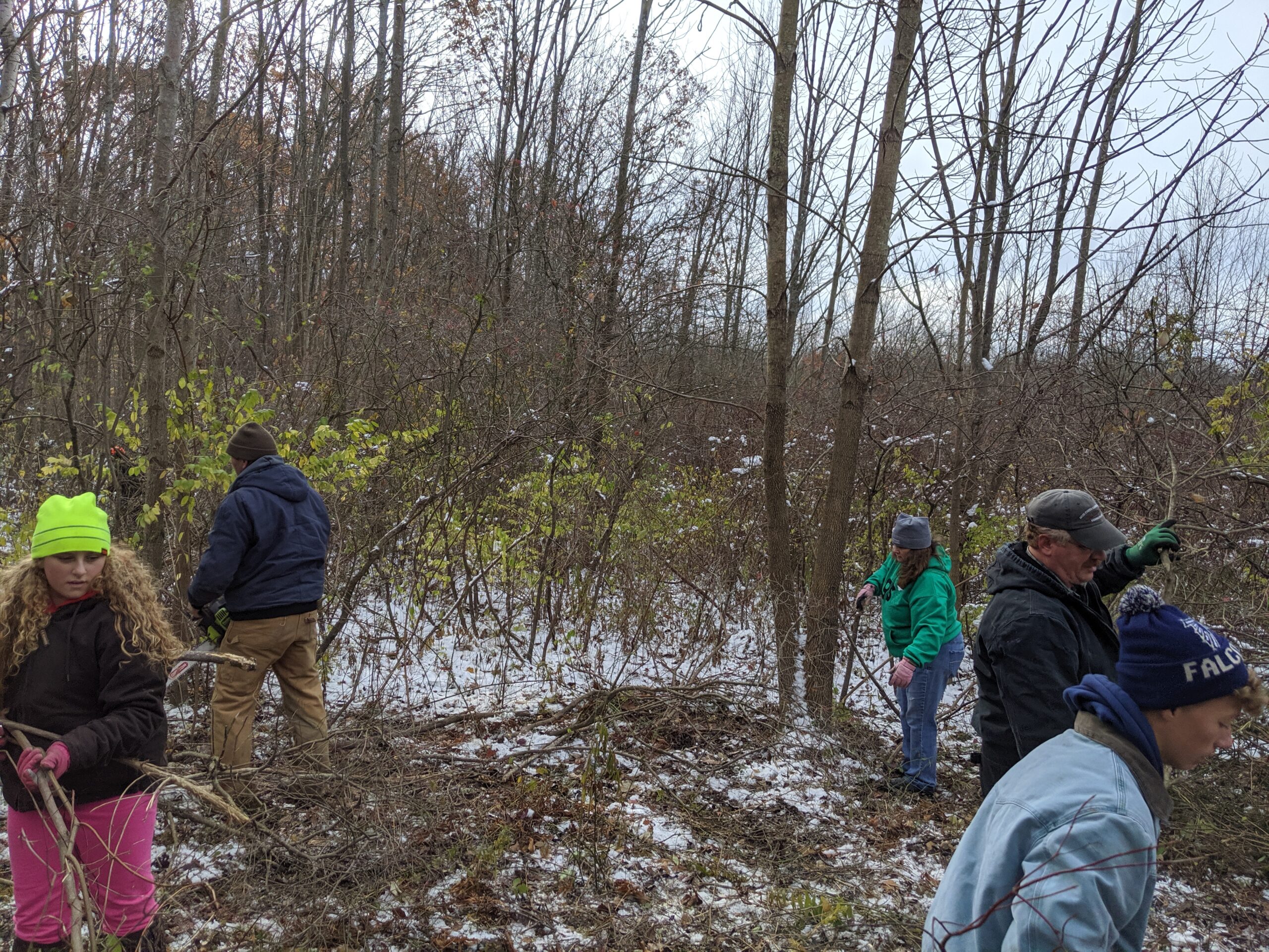Local Girl Scouts Improve Trail At Horton Road Center