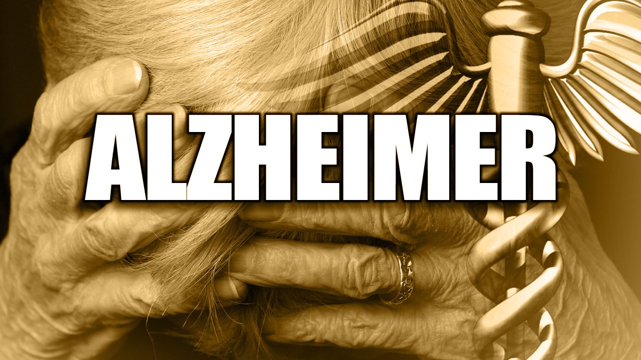 Chautauqua County Gathers to Fight Alzheimer’s at Upcoming Walk