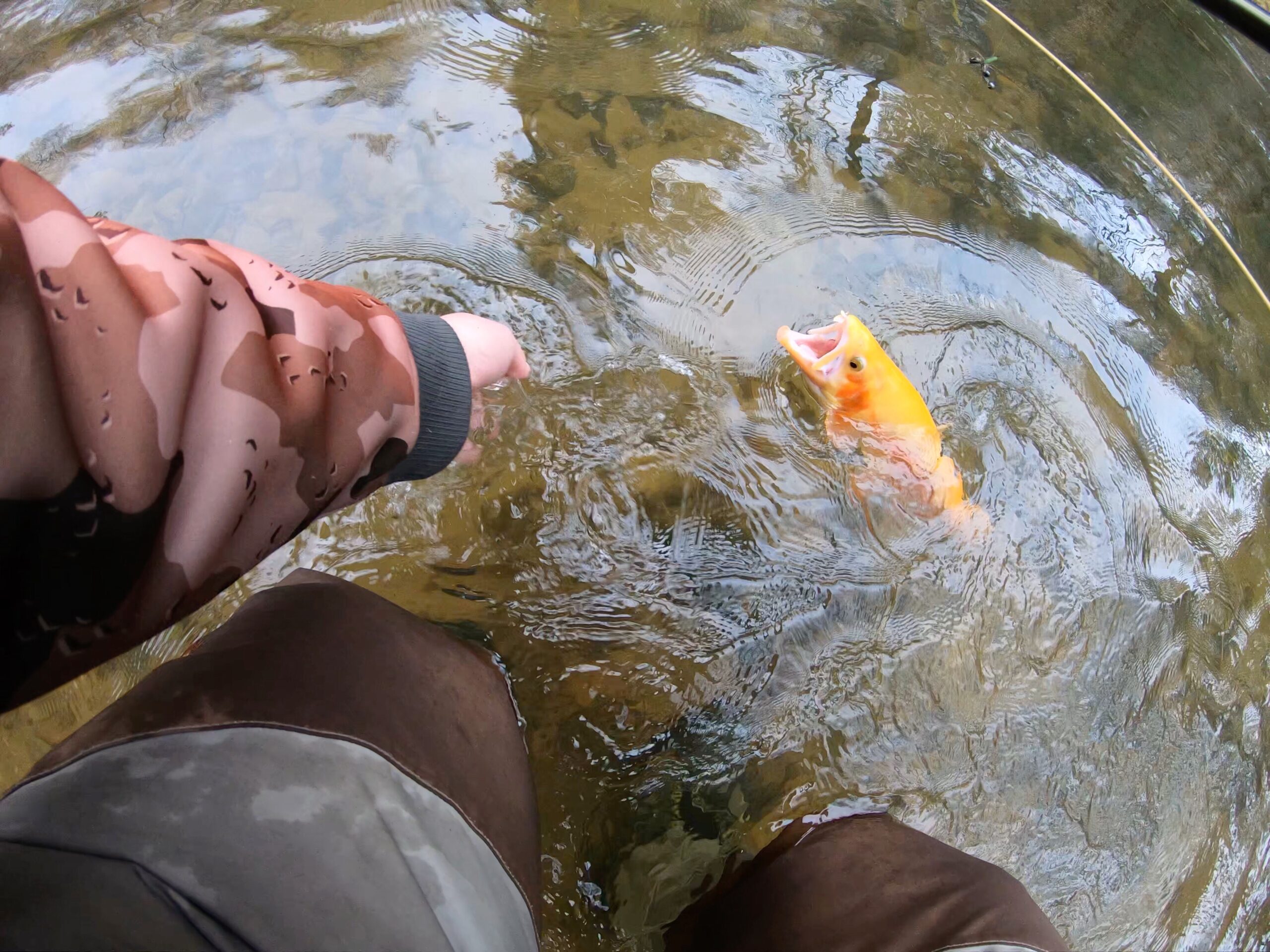 Trout Fishing Season Kicks Off Friday
