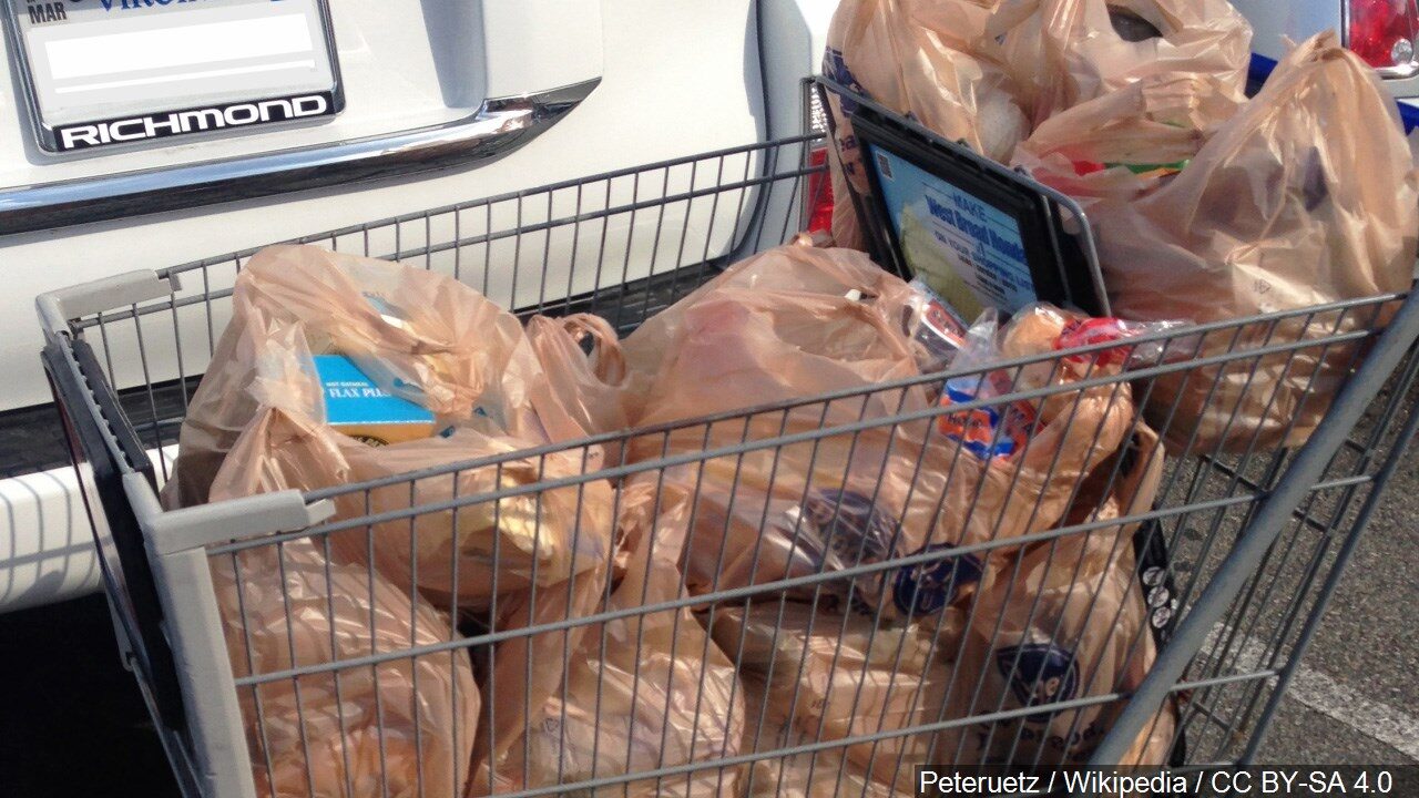 Shopping cart full of items in plastic bags, Photo Date 8242015