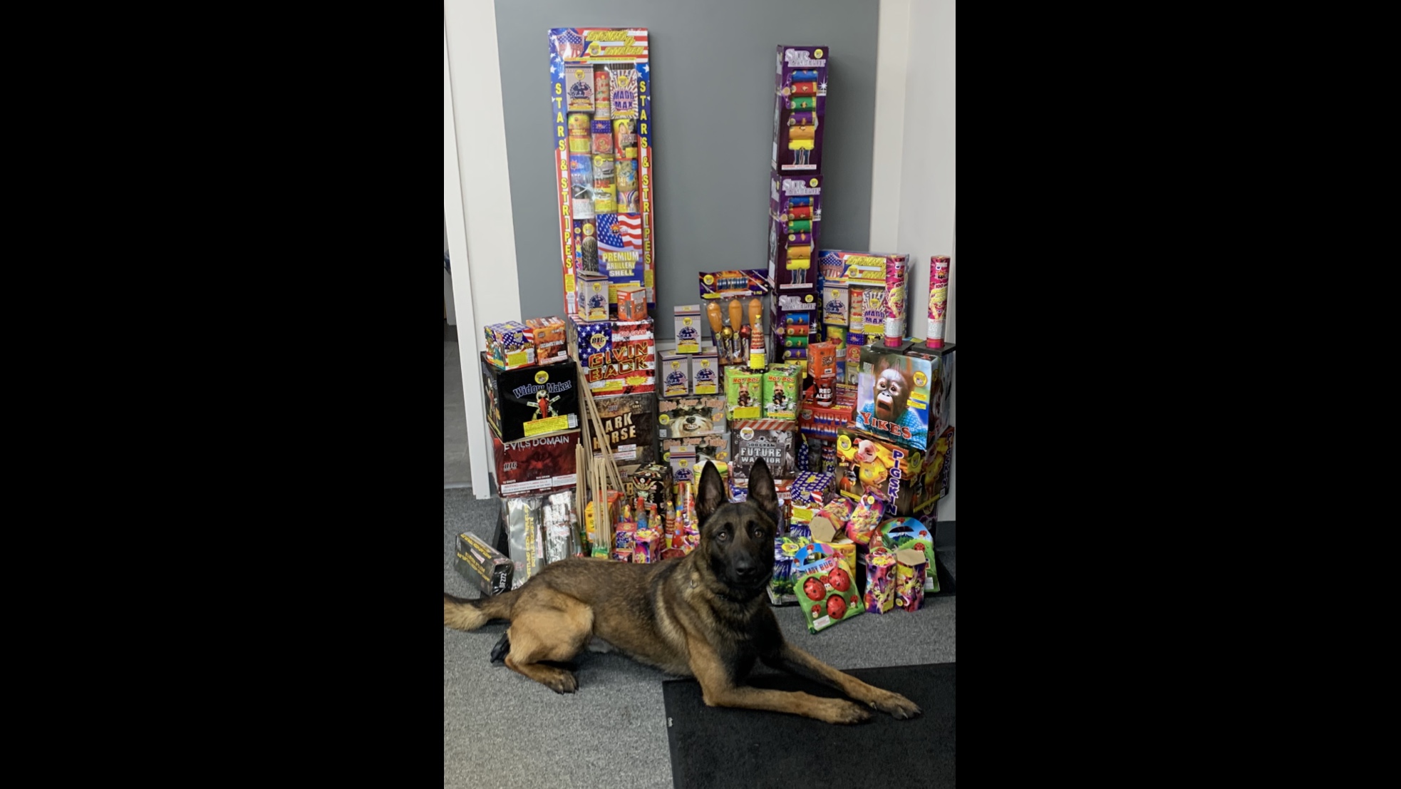 Seven Charged Following Illegal Fireworks Crackdown Saturday