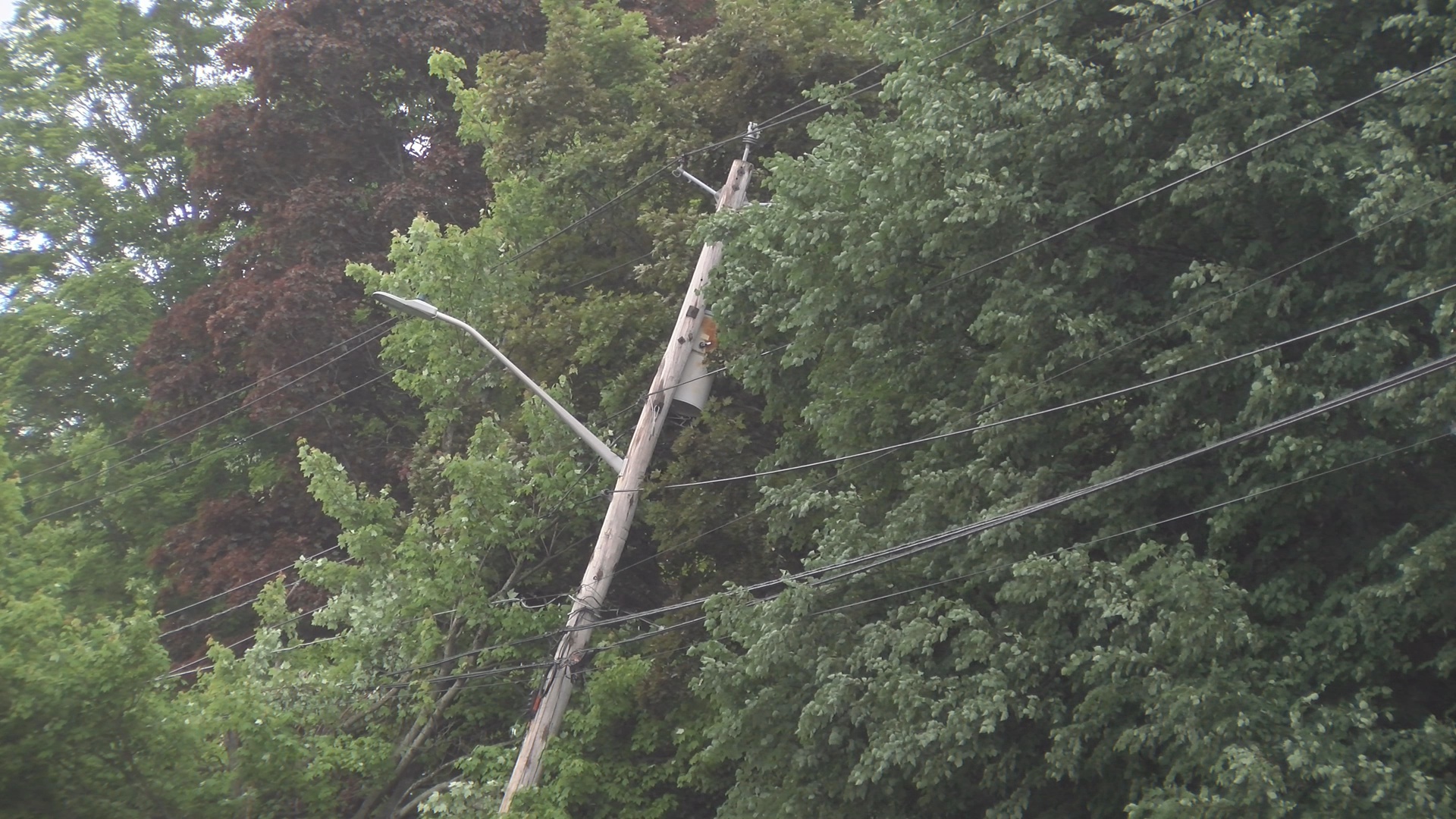 Storm Knocks Out Power To Hundreds, Crews Cleanup Downed Trees, Lines