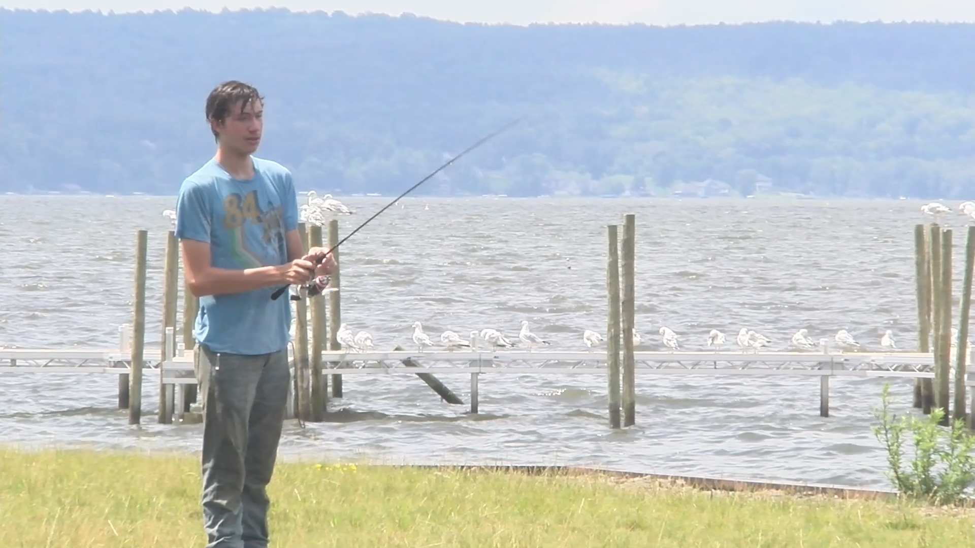 Harmful Algal Blooms Cause Problems In Southern Part Of Chautauqua Lake