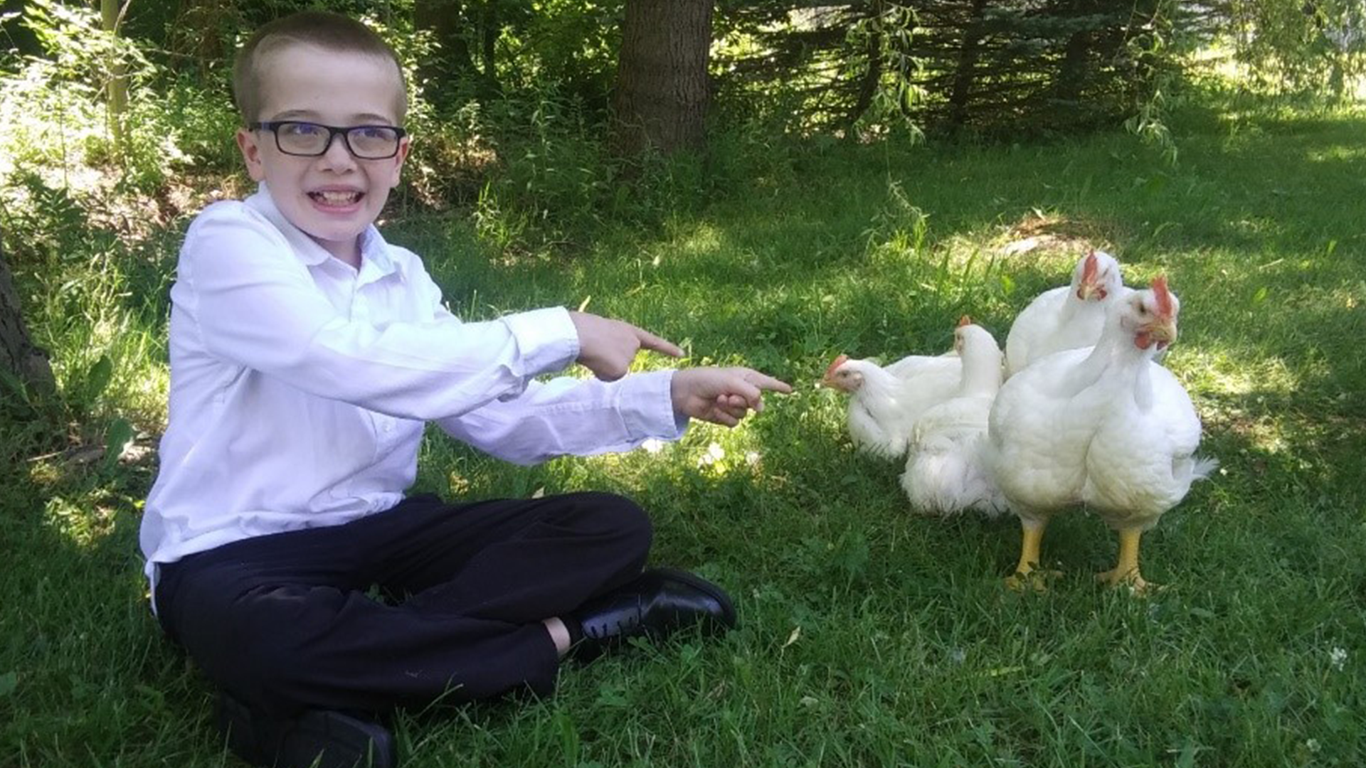 4-H Meat Auction Raises Over $85,000