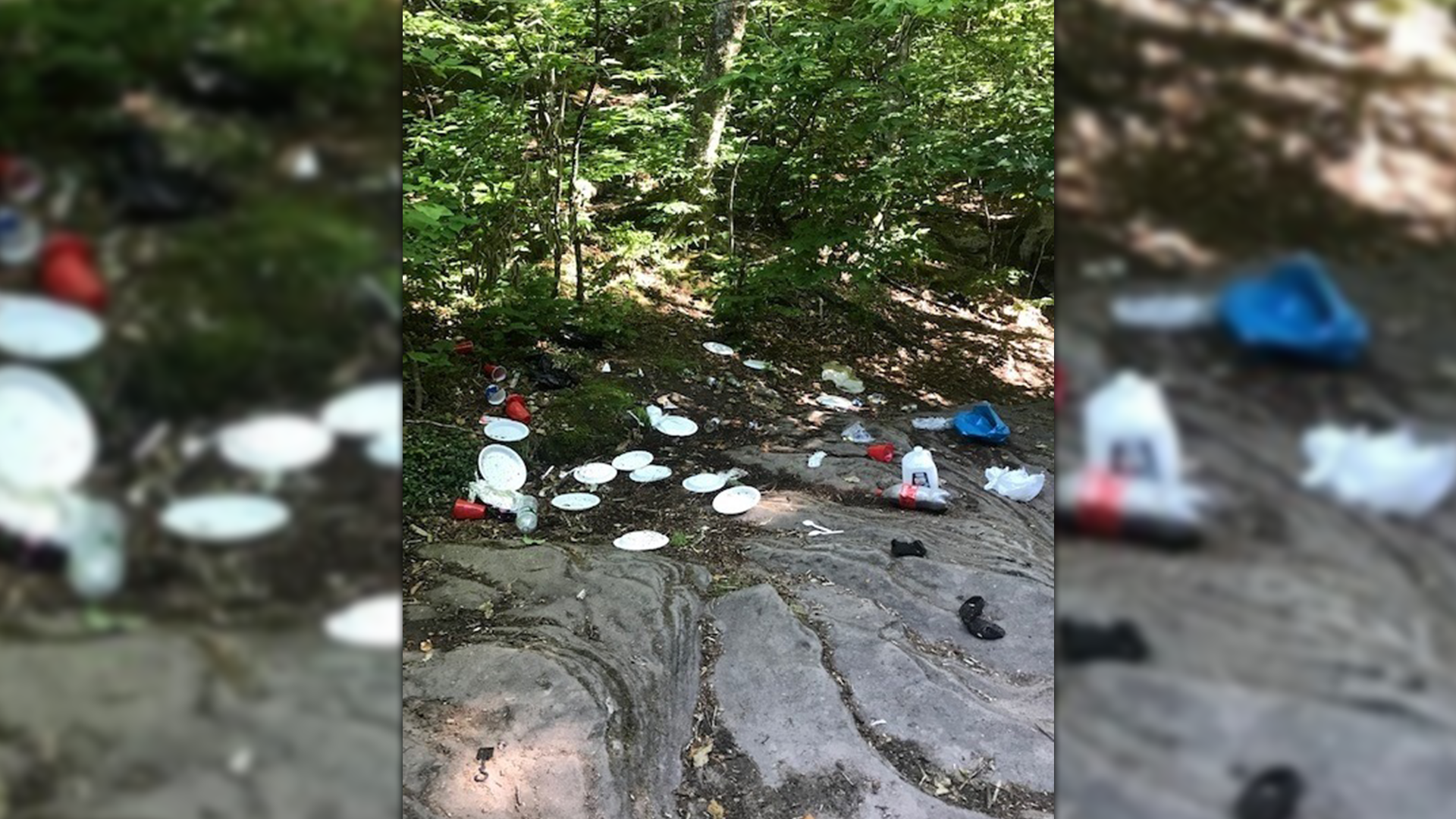 NYS DEC Reminds State Park Visitors To Pick Up After Themselves