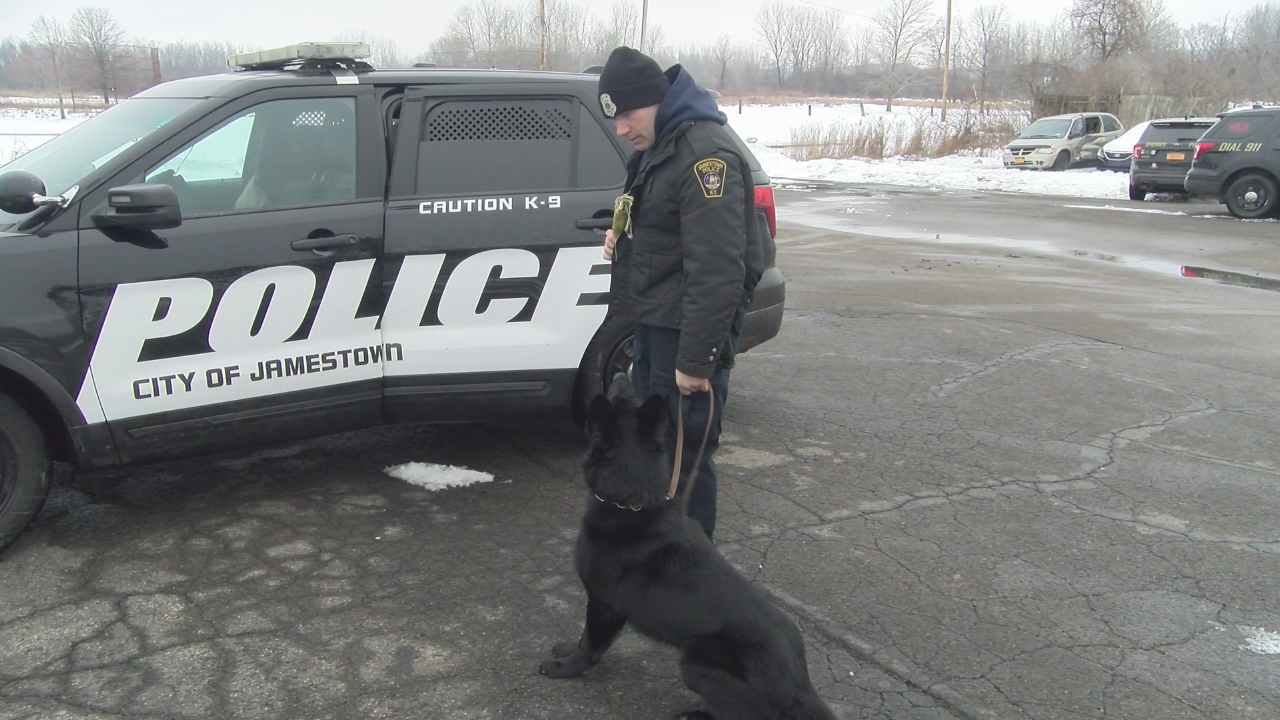 Jamestown Police K-9 Passes Away Suddenly Saturday Morning