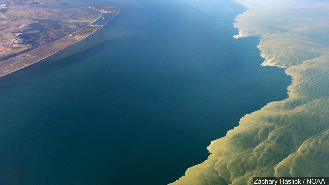 Bassmaster Magazine Lists Lake Erie Among Nation’s Best Bass Fisheries