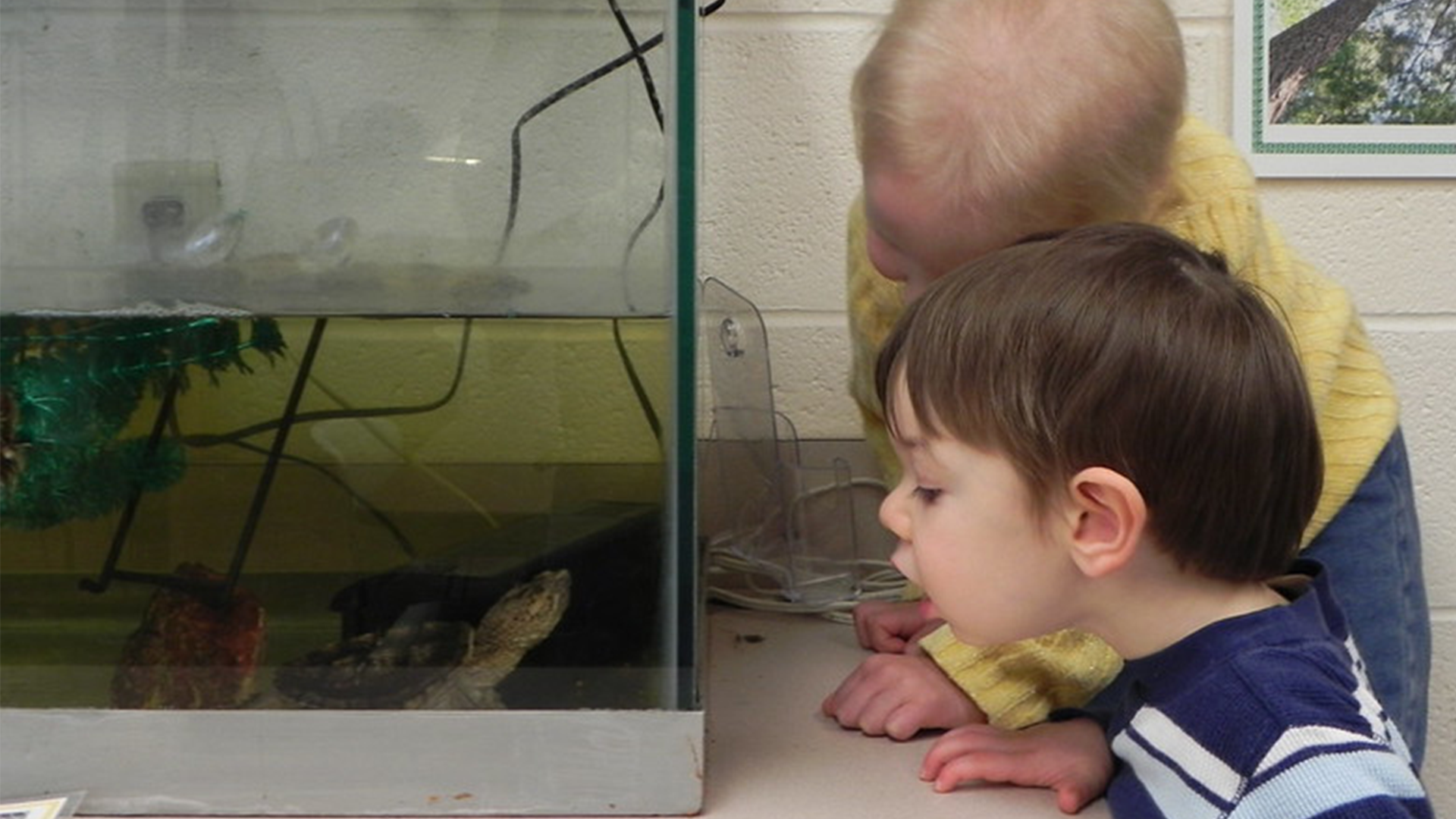 Audubon Nature Center To Partially Reopen Center This Week