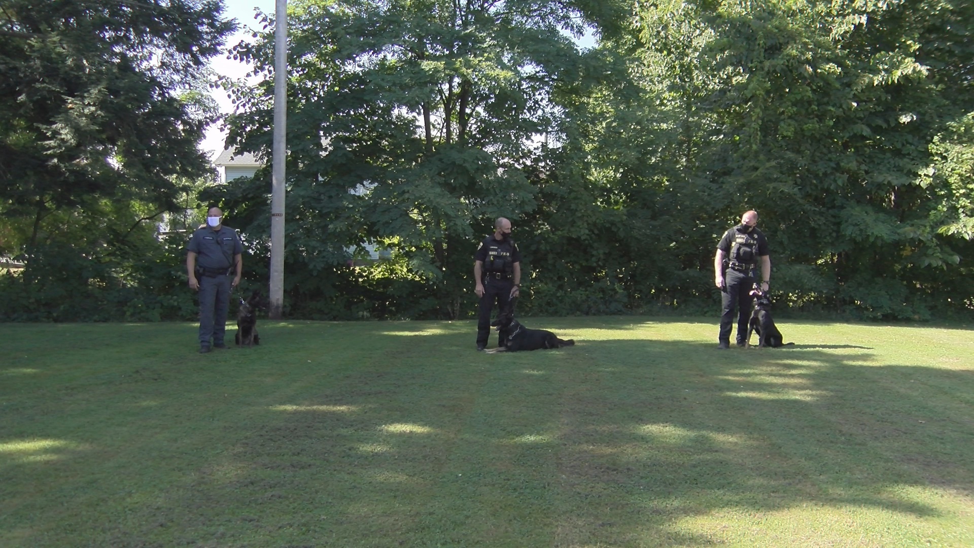 Lakewood Woman’s Gesture Shows Appreciation To Local Police K-9s