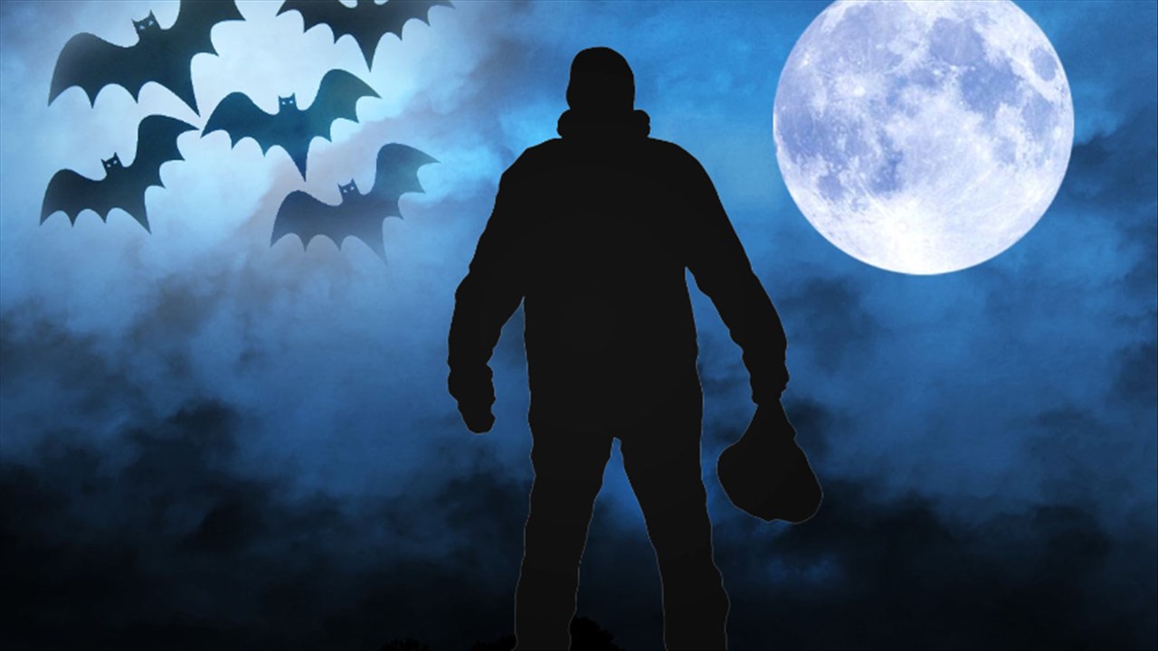 State Police Looking For Burglar Dressed In Halloween Costume