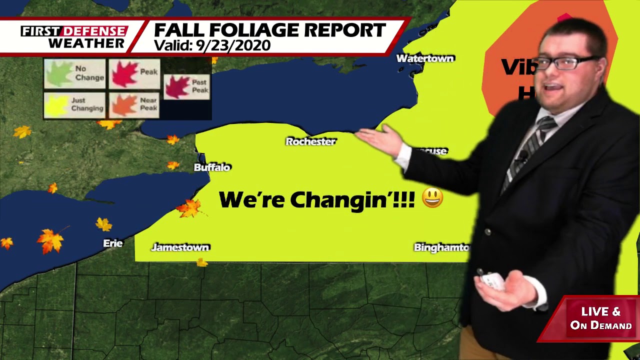 Summer Like Warmth Through The Weekend; Some Rain Moves In Next Week