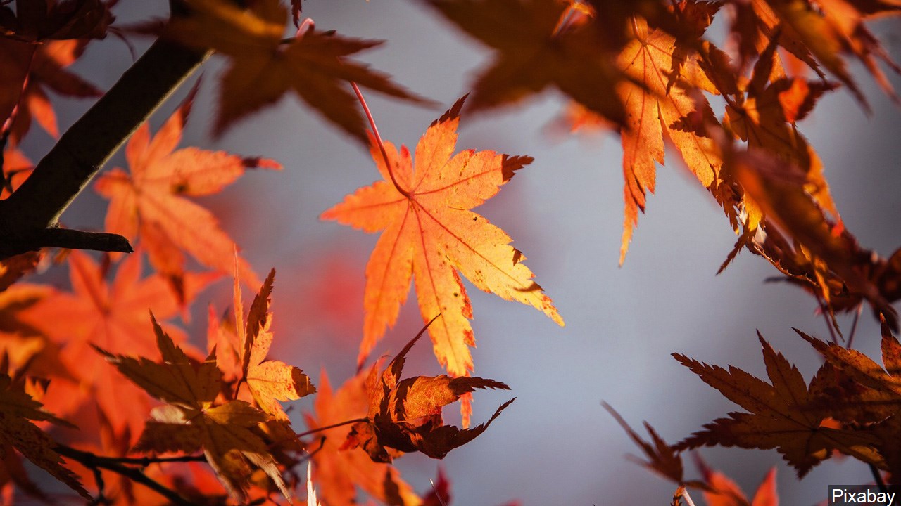 Fall Foliage Report Is Back Marking The First Signs Of Fall