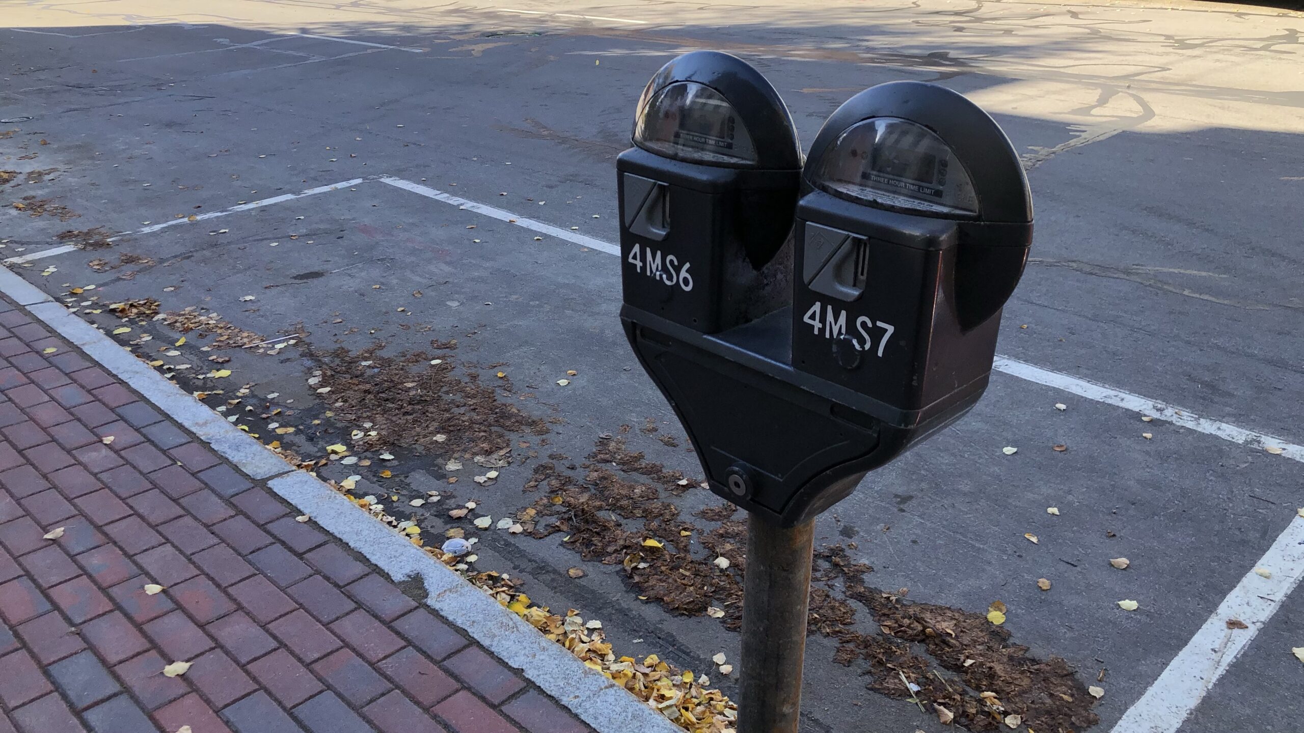 Street Parking Prices Could Increase Next Year In Jamestown