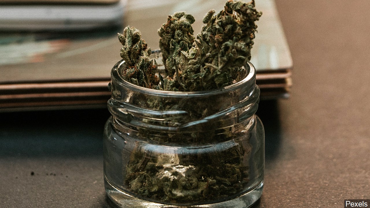 Report Forecasts Potential Revenue From Legalizing Recreational Marijuana In State