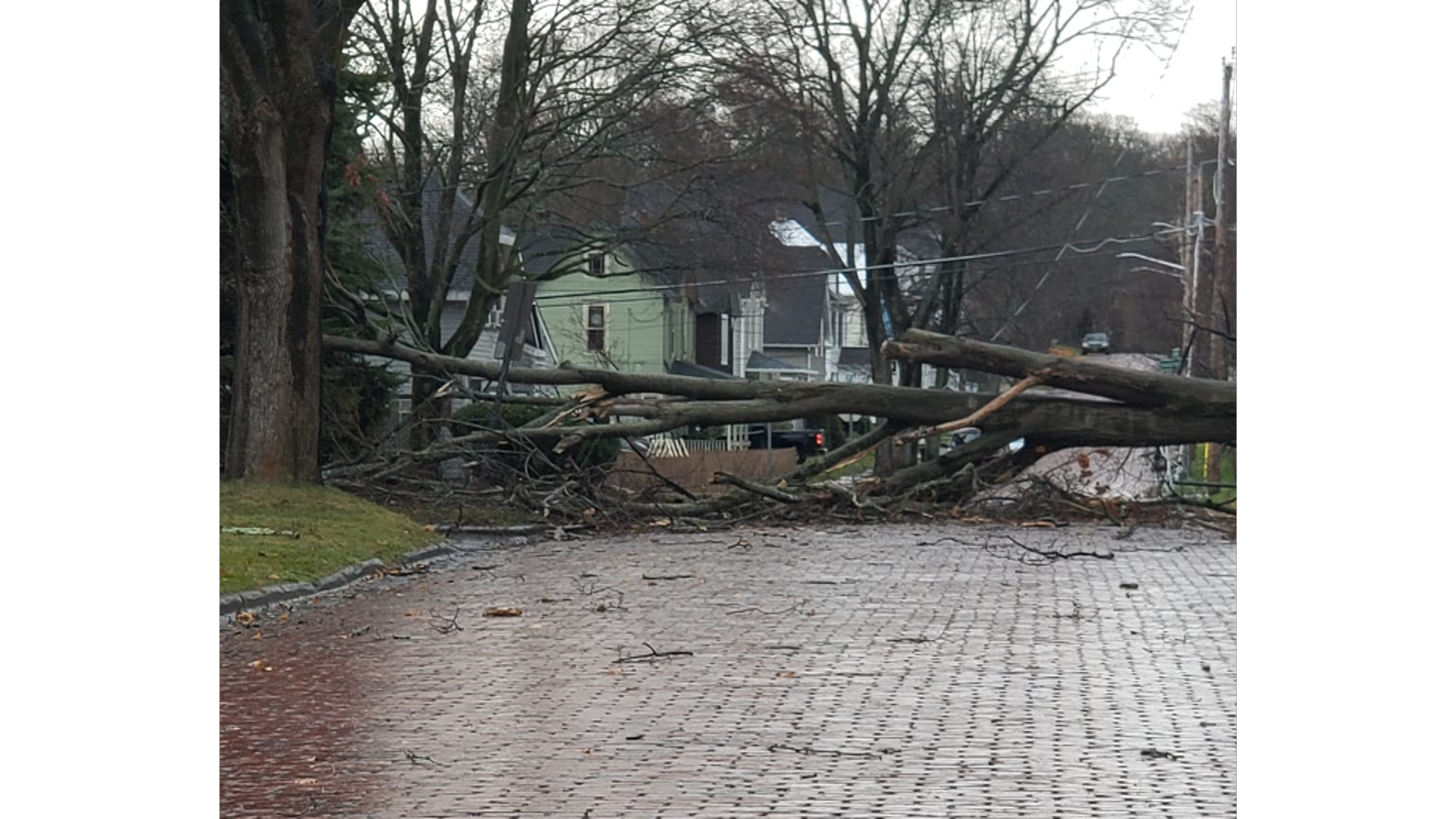 Heavy Winds, Rain Brings Down Several Trees, Knocks Out Power In Area