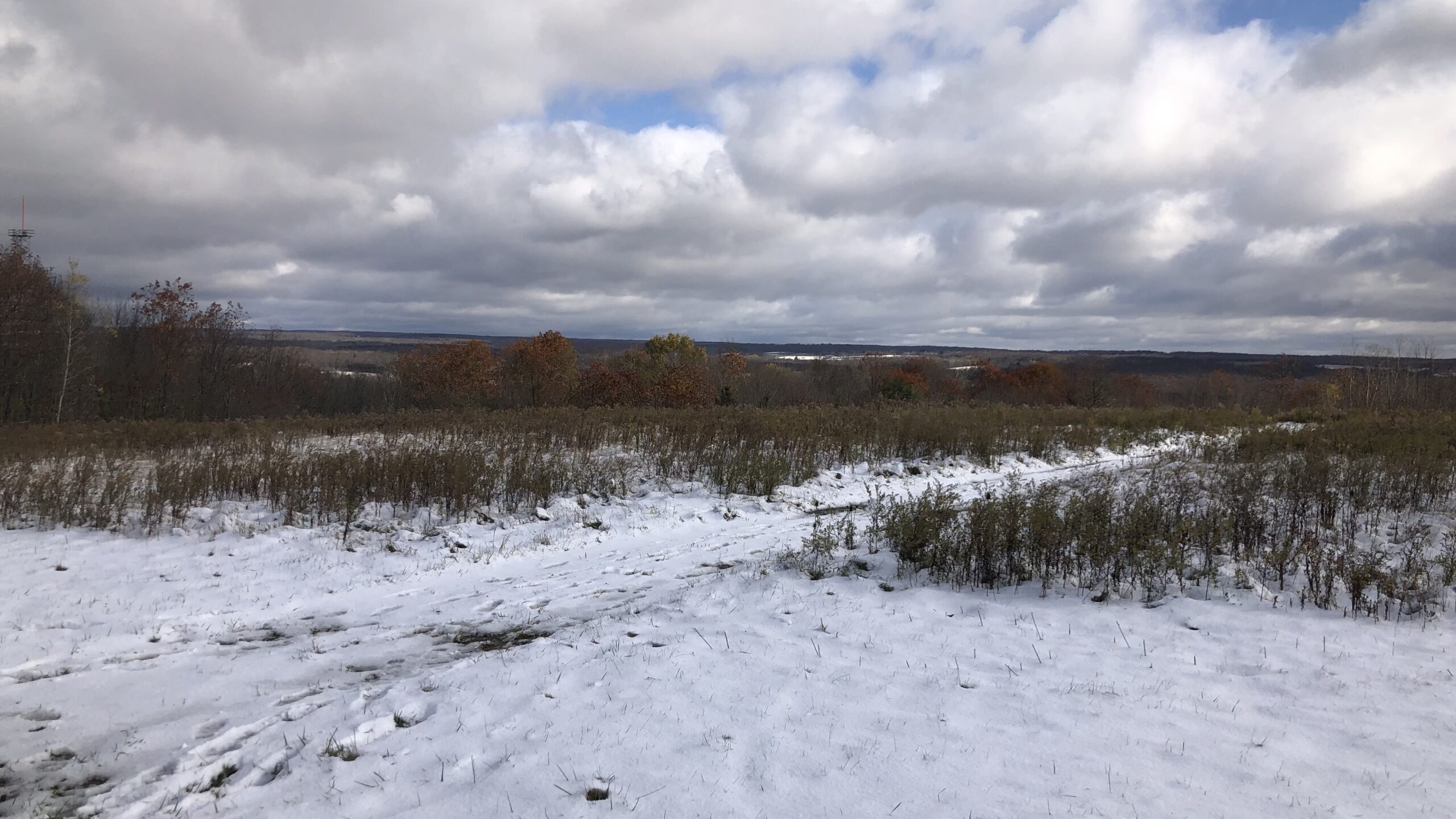 Preliminary Report Says Pilot Reported Snow, Turbulence Prior To Plane Crash