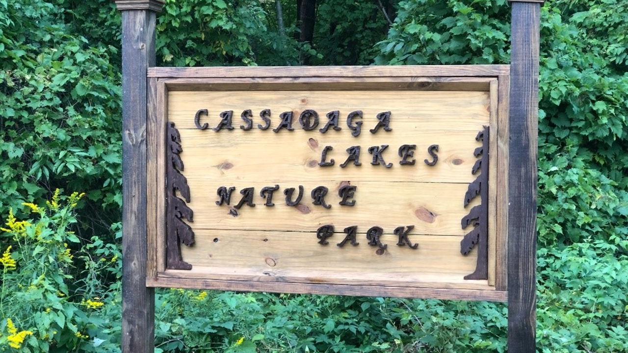 Grant Awarded To Improve Cassadaga Lakes Nature Park Next Spring WNY News Now