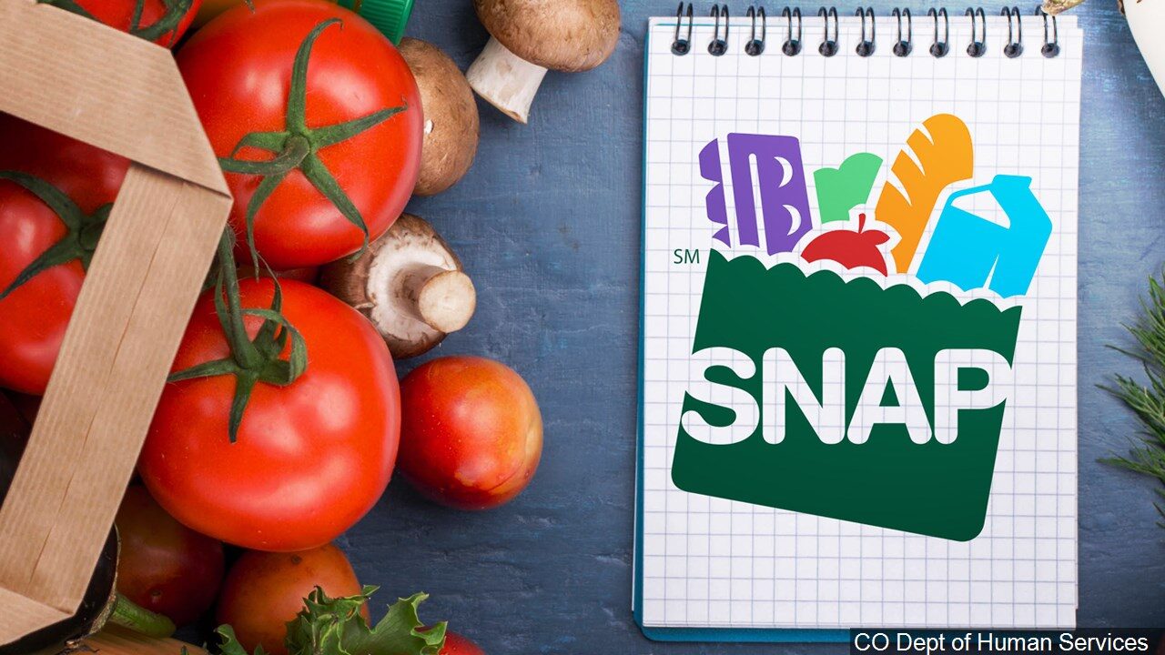 disaster supplemental nutrition assistance program d snap